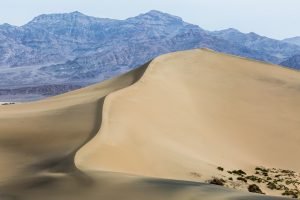 Redecorating a Nevada house: a desert dune
